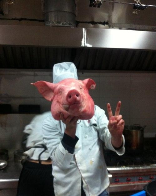 厨房里买的猪头综合gif搞笑图片