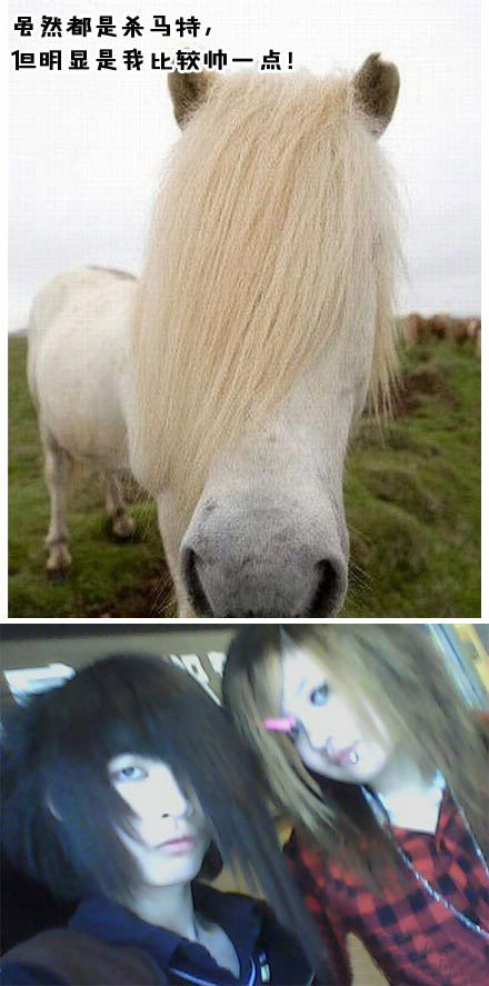 杀马特造型，帅的无以言表综合gif搞笑图片