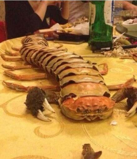 尼玛居然摆成这样，简直是丧心病狂综合gif搞笑图片