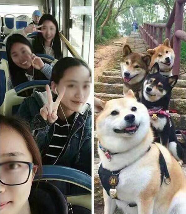 毫无违和，尤其是最后那个路人综合gif搞笑图片