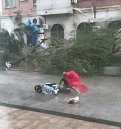 这个时候，我多希望有个胖子在身边综合gif搞笑图片