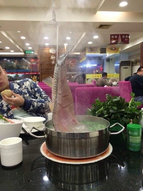 打边炉的最高境界综合gif搞笑图片