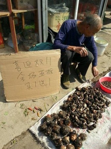 双11提前开始了综合gif搞笑图片