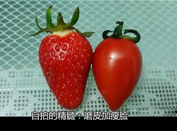 再形象不过了综合gif搞笑图片