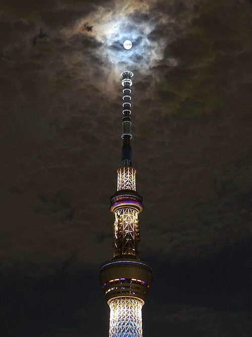 仿佛打开了链接另一个次元的大门，菠萝菠萝蜜综合gif搞笑图片