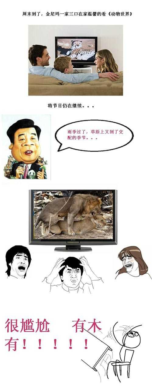 周末，金尼玛一家三口在家温馨看动物世界综合gif搞笑图片