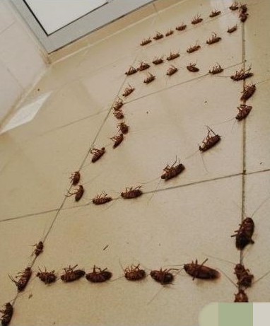 爱的表白综合gif搞笑图片