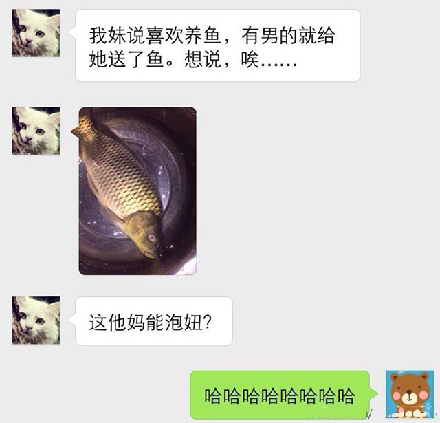 撩妹的天赋点加错的后果综合gif搞笑图片