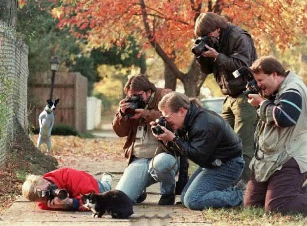 后面的汪星人表示严重不服综合gif搞笑图片