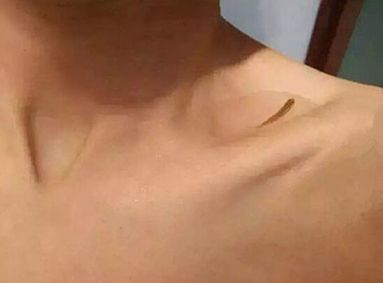 现流行锁骨养鱼综合gif搞笑图片