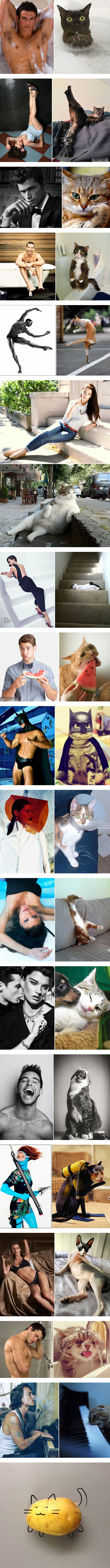 毫无压力综合gif搞笑图片