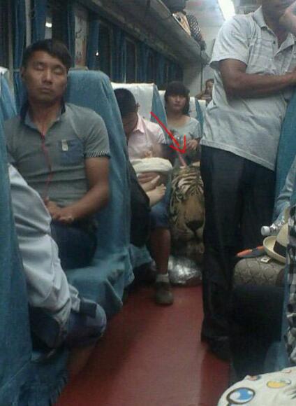 火车上-半夜醒来吓SHI了综合gif搞笑图片