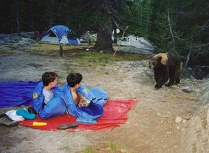 它应该只是路过吧~综合gif搞笑图片