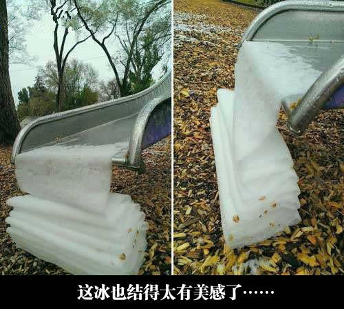 天气冷了，多盖床被吧综合gif搞笑图片