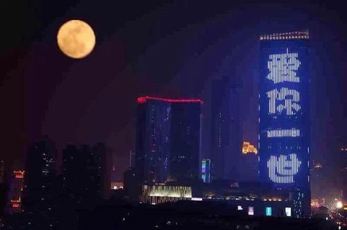 情人节真有人下血本综合gif搞笑图片