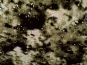 论保持车距的重要性综合gif搞笑图片