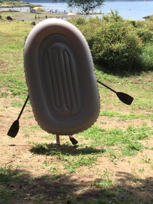 谜之海洋生物综合gif搞笑图片