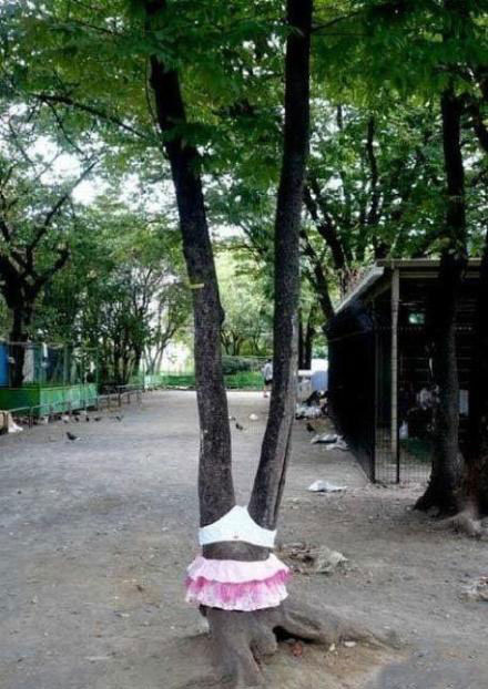 这是那个瓜娃子穿的泳衣？综合gif搞笑图片