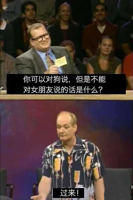 可以对狗说，但不能对女朋友说的话是什么？综合gif搞笑图片