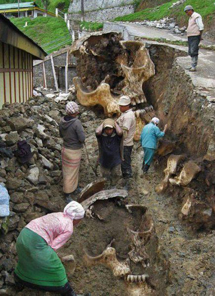 这家人发财了综合gif搞笑图片