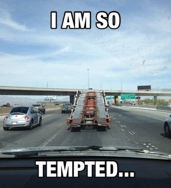 我已经准备好了综合gif搞笑图片