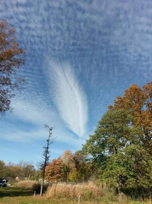 一大片羽毛综合gif搞笑图片