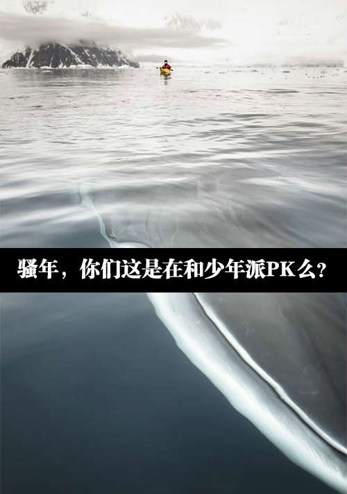 歪国网友和他的小伙伴去海里划船，突然出现的一幕差点把他们吓屎综合gif搞笑图片