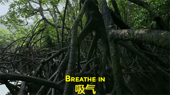 一组非常好玩的图片，前半部分吸气后半部分呼气；看到最后你会发现这是一则爱护海洋的公益广告，给酱紫的创意点个赞！综合gif搞笑图片