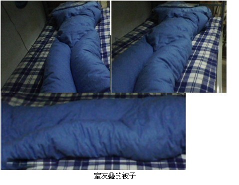 室友叠的被子综合gif搞笑图片