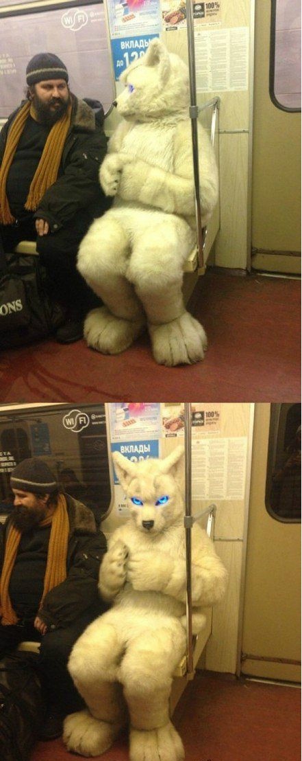 看到这一幕，仿佛来到了龙珠的世界综合gif搞笑图片