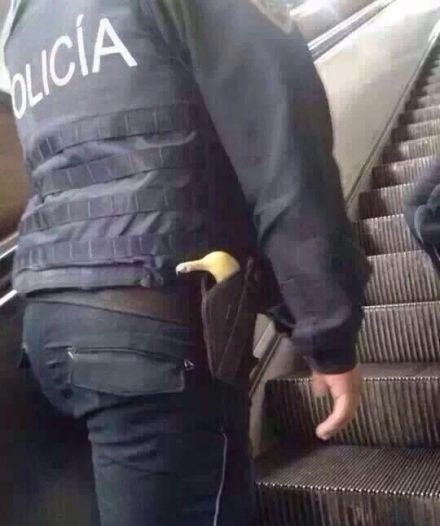 警察蜀黍这就是你的枪么？综合gif搞笑图片