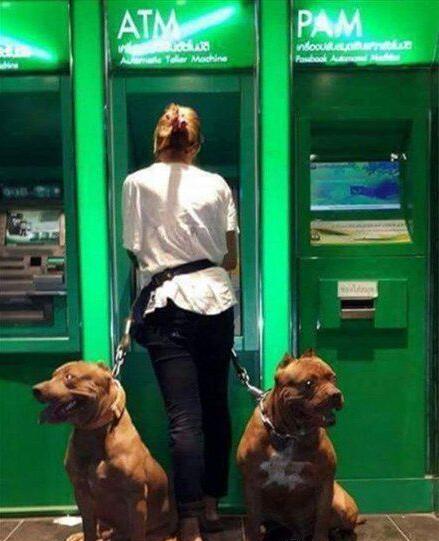 出门取钱的正确方式综合gif搞笑图片