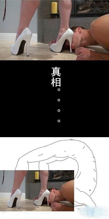 其实这才是正解综合gif搞笑图片