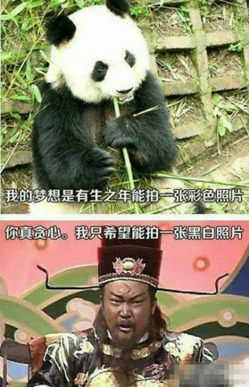 你所抱怨的往往是别人希望的综合gif搞笑图片