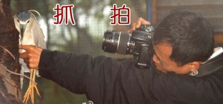 告诉你们神马叫真正的抓拍！！！综合gif搞笑图片