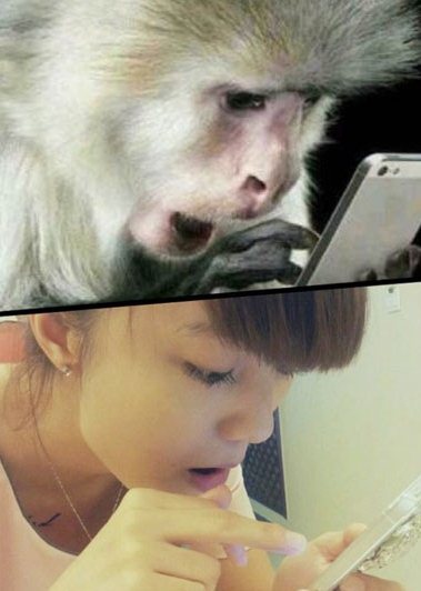 中招的，点个赞吧！！！综合gif搞笑图片