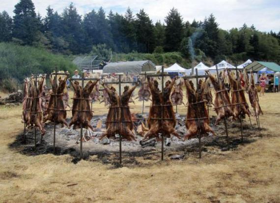 烤群羊 太丰盛了综合gif搞笑图片