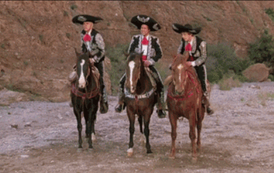 咦，为什么我还骑在马上？综合gif搞笑图片