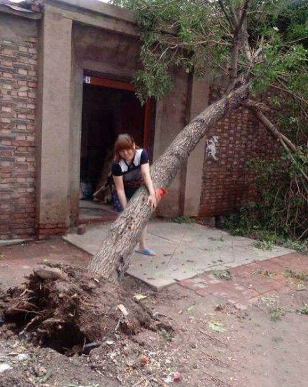 女汉子比光头强厉害多了综合gif搞笑图片