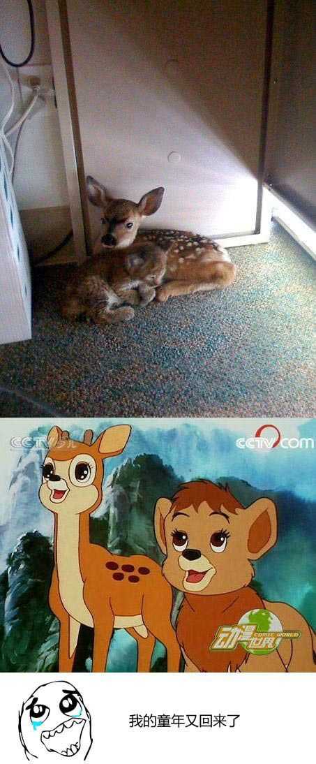 我的童年又回来了综合gif搞笑图片
