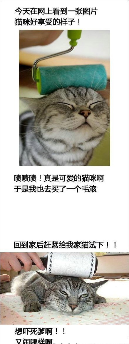 失败的尝试综合gif搞笑图片