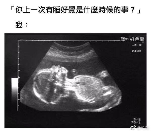 你上一次有睡好觉是什么时候的事？综合gif搞笑图片