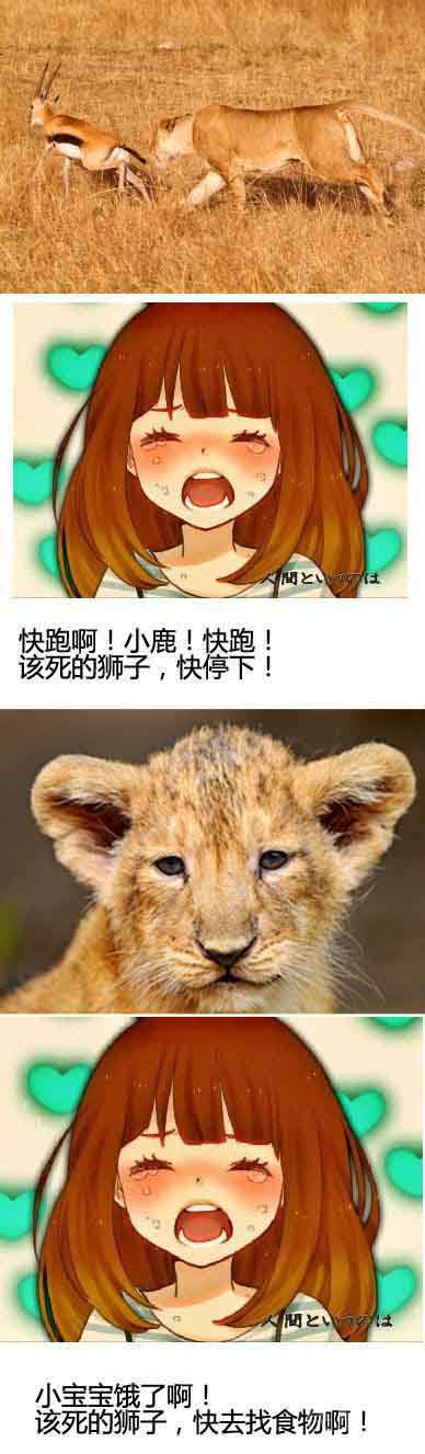 萌决定了女人的逻辑综合gif搞笑图片