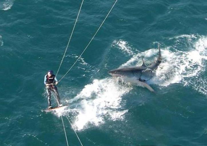 司机开快点，我给两倍价钱综合gif搞笑图片