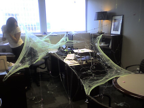 办公室里的笑话——蜘蛛网综合gif搞笑图片