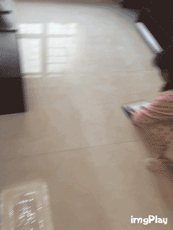 机器人扫得太慢综合gif搞笑图片