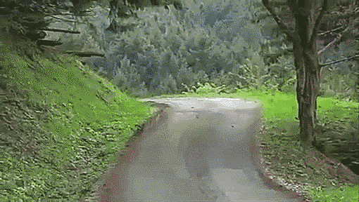 秋名山车神来了~综合gif搞笑图片