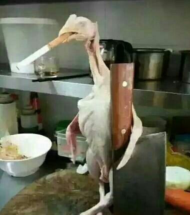 有谁不服的站出来综合gif搞笑图片