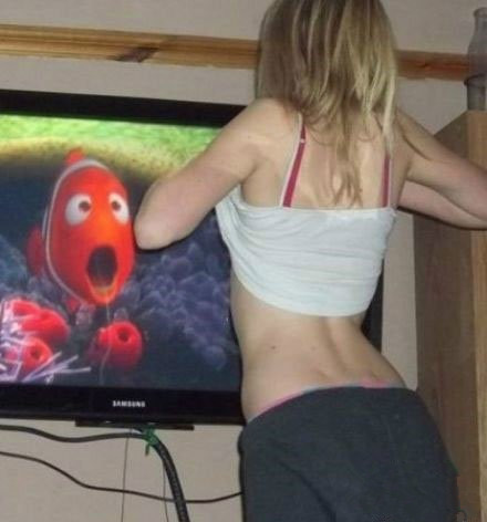 节操碎一地的内涵图综合gif搞笑图片