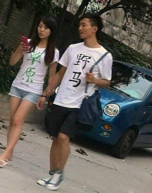 真想看看这匹野马是如何在草原上狂奔的综合gif搞笑图片